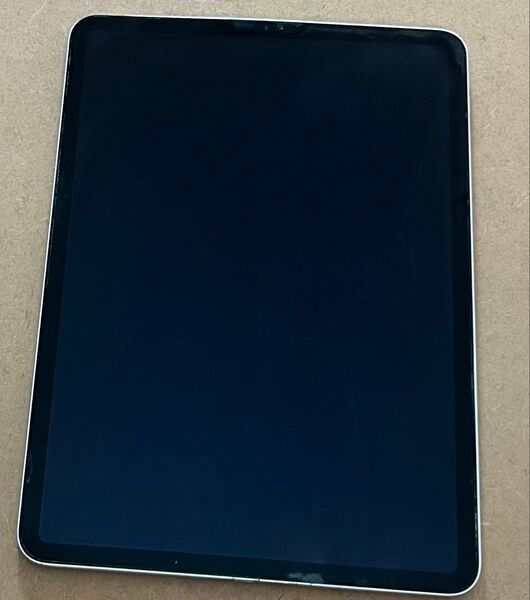 ジャンク品 iPad Pro 第2世代 11インチ Wi-Fiモデル 128GB