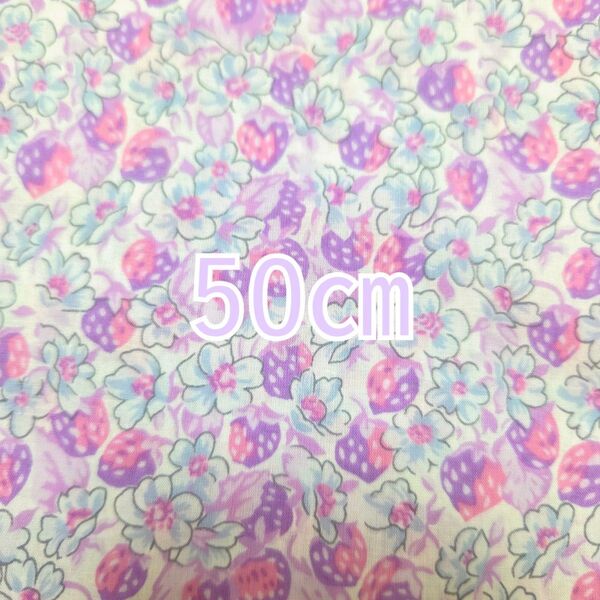 リバティ タナローン生地 アシュテッド ユニコーン 50㎝