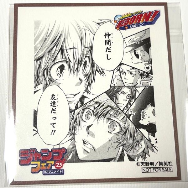 アニメイト ジャンプフェア 特典 ミニ色紙 ジャンフェス 【家庭教師ヒットマン REBORN リボーン】