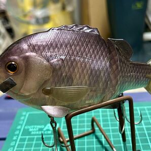 デプス ブルシューター160F 中古