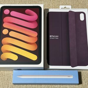 iPad mini Wi-Fi + Cellular 256GB ピンク SIMフリー 2021年モデル