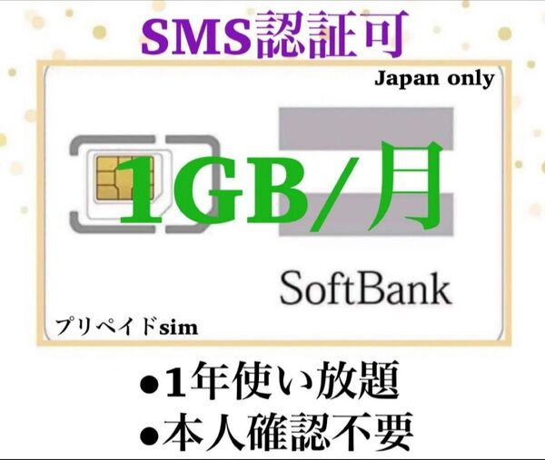 SoftBank プリペイドSIM データ通信 1GB/受信可能 sms認証