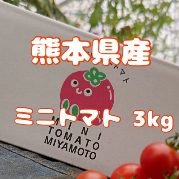 ★減農薬・農家直送★ 熊本県産 ミニトマト3kg