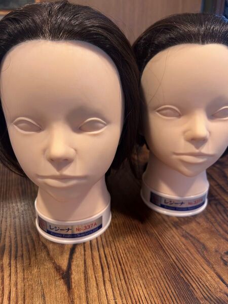 レジーナ No.337A ウィッグ スタイリスト カットウィッグ 美容師 ウィッグ マネキンヘッド レジーナ 練習用 美容学校