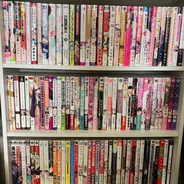本日のみ。2冊 450円 TL BLコミック 6/1
