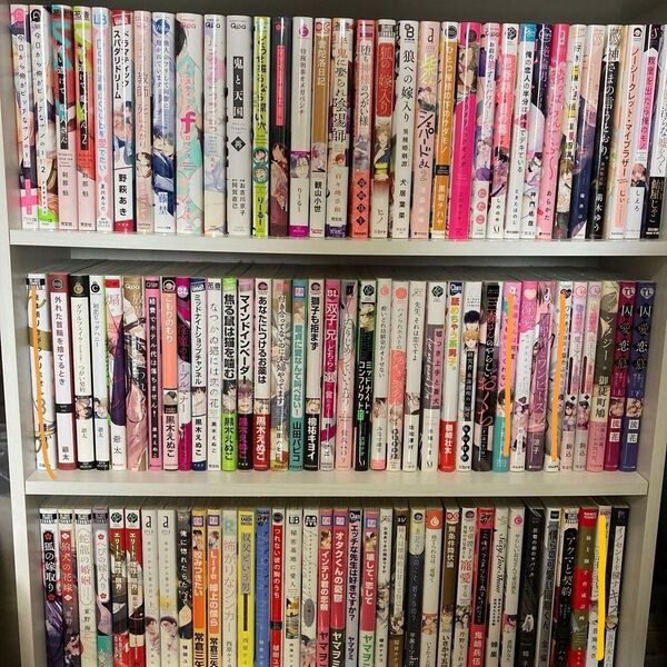 2冊 500円 TL BLコミック 6/1