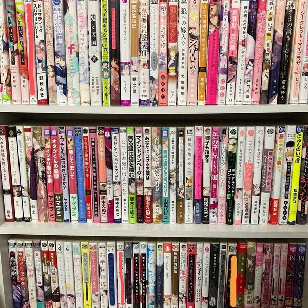 2冊 500円 TL BLコミック 6/2