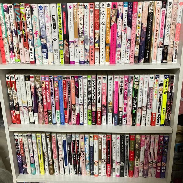 2冊 500円 TL BLコミック 6/2