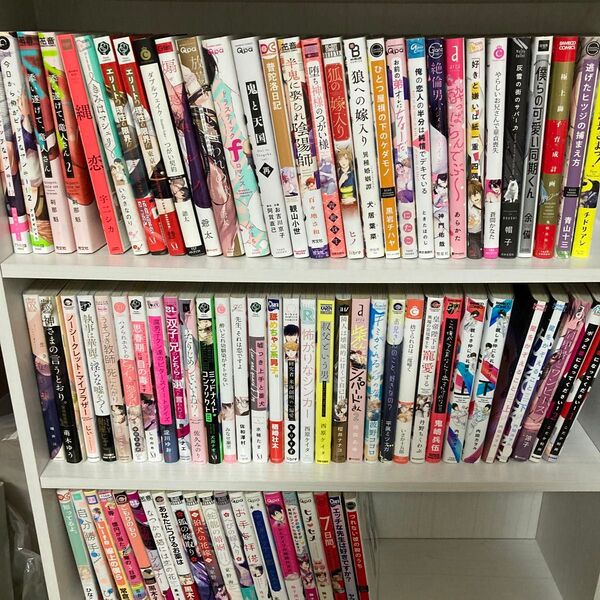 2冊 500円 TL BLコミック 6/23