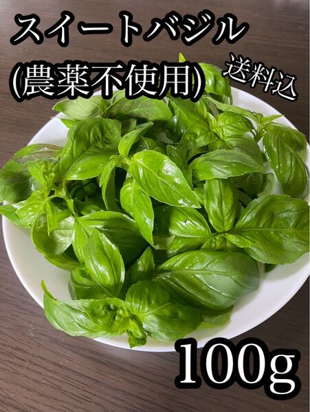 スイートバジル 100g(農薬不使用・菌ちゃん農法)ネコポス送料込