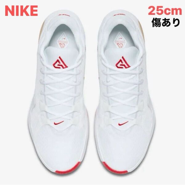2019 NIKE ZOOM FREAK 1 ヤニス・アデトクンボ ROSE 25cm 箱付き