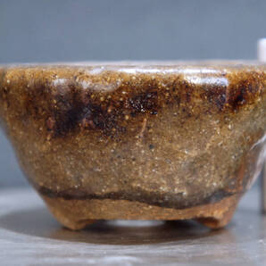 東福寺 盆栽鉢 直径8cm 高さ4.2cm