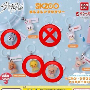 straykids スキズ SKZOO めじるしアクセサリー ガチャ ガチャガチャ