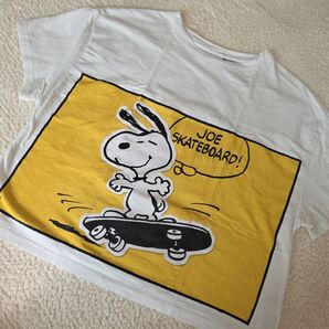 ZARA SNOOPY スヌーピー Tシャツ 152cm