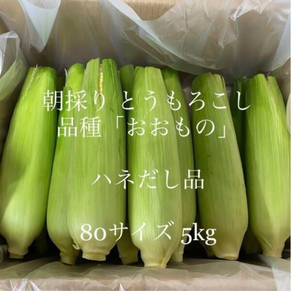 朝採り!とうもろこし 品種「おおもの」ハネ出し品 常温便