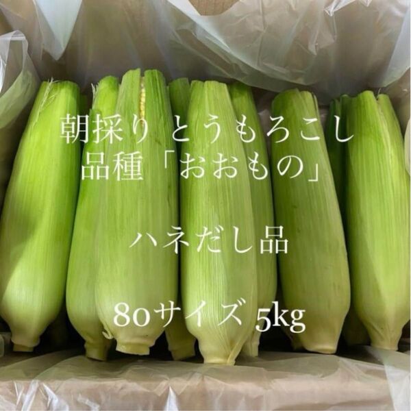 ハウス16日で終了!とうもろこし ハネ出し品 常温便 茨城県よりお届け
