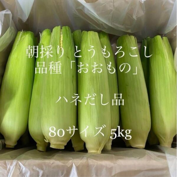 とうもろこし ハネ出し品 常温便 茨城県よりお届け☆