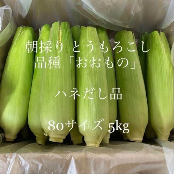 とうもろこし ハネ出し品 常温便 茨城県よりお届け☆