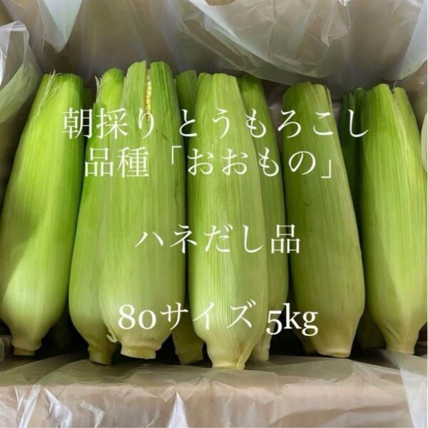 とうもろこし ハネ出し品 常温便 茨城県よりお届け☆