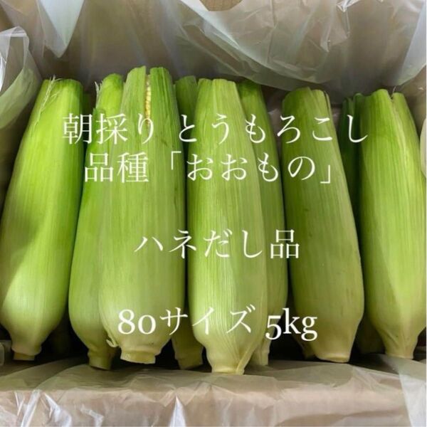 とうもろこし ハネ出し品 常温便 茨城県よりお届け☆26