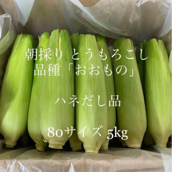 とうもろこし ハネ出し品 常温便 茨城県よりお届け☆26