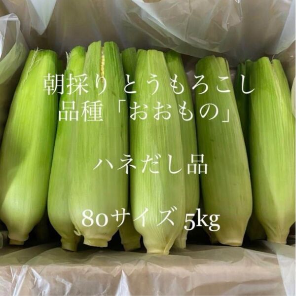 27発送 とうもろこし ハネ出し品 常温便 産地直送!茨城県よりお届け☆