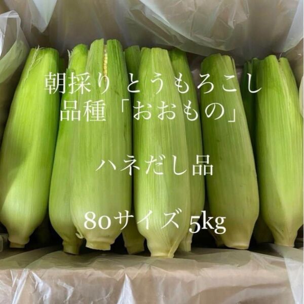 3とうもろこし ハネ出し品 常温便 産地直送!茨城県よりお届け☆