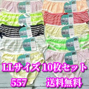 LLサイズ 10枚セット 綿混 ボーダー柄 ショーツ まとめ売り 福袋 フルバックショーツ デイリーショーツ 557