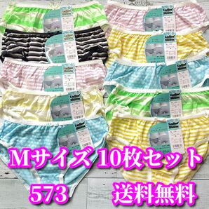 Mサイズ 10枚セット 綿混 ボーダー柄 ショーツ まとめ売り 福袋 フルバックショーツ デイリーショーツ 573