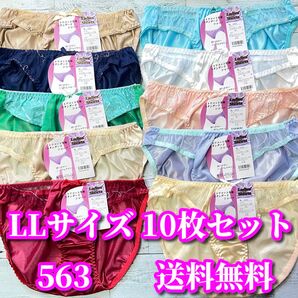 LLサイズ 10枚セット トリコット生地 レース花柄 フルバックショーツ まとめ売り デイリーショーツ 563