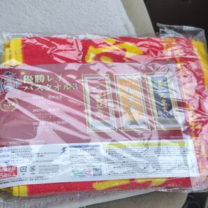 競馬レイ バスタオル1枚安田記念