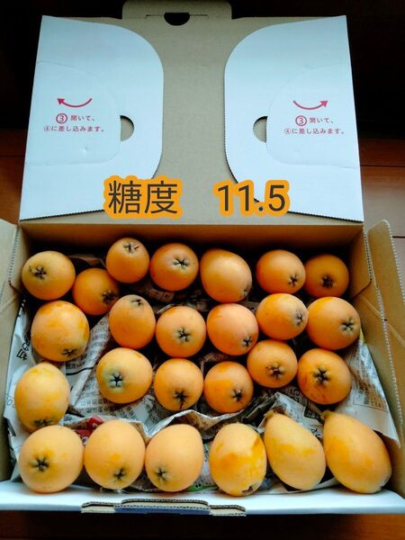 無農薬 びわ