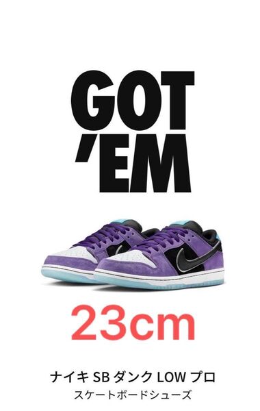 Hayley Wilson × Nike SB Dunk Low Pro "Black and Court Purple"