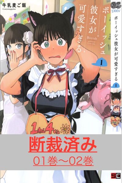 【断裁済み/自炊用】ホーイッシュ彼女か可愛すきる 01巻〜02巻