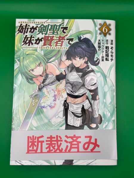 【断裁済み/自炊用】姉が剣聖で妹が賢者で 06巻