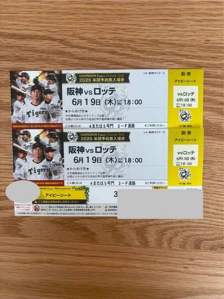 阪神タイガース アイビーシート 2連番 6月19日 ロッテ戦