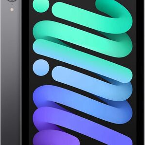Apple iPad mini (第6世代) Wi-Fi + Cellular 256GB スペースグレイ+ケース+フィルムおまけ