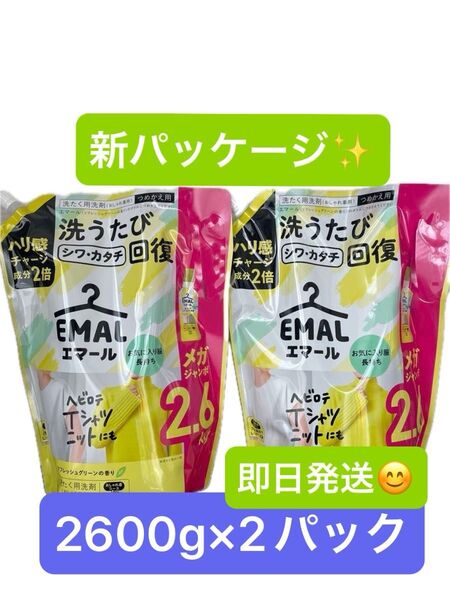 エマール リフレッシュグリーン おしゃれ着用 洗濯洗剤 2600ml×2セット 花王 エマール
