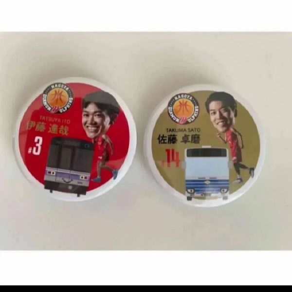 ダイアモンドドルフィンズ 缶バッジ 2個
