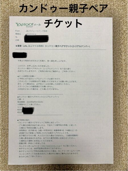 カンドゥー 親子ペア チケット 2025年8月末 期限
