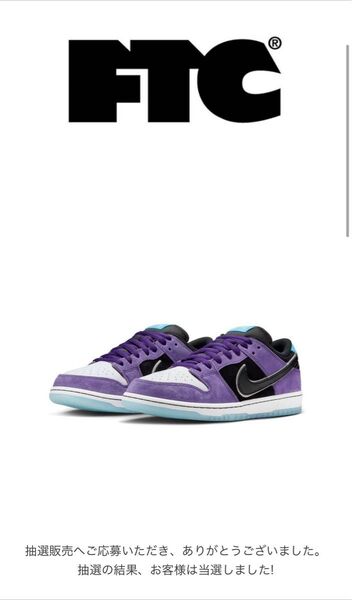 Hayley Wilson × Nike SB Dunk Low Pro "Black and Court Purple"