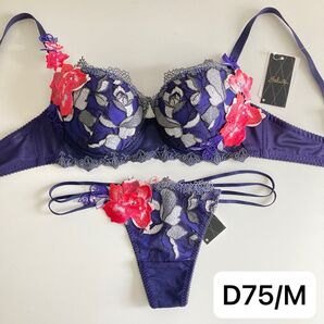 ワコール サルート ベルエポック D75/M KO 56 P-upブラ ソング タンガ Tバック ダブルサイドストリング 紺