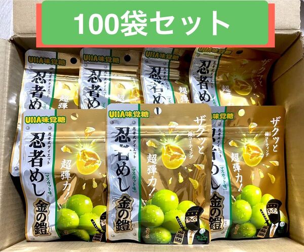 UHA味覚糖 忍者めし 金の鎧 マスカット味 100袋 新品未開封