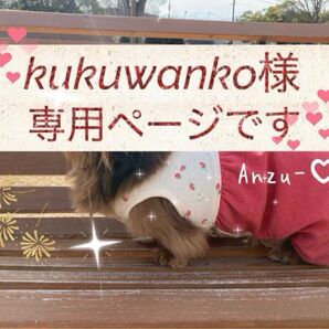 ②kukuwanko様専用ページです ダックスフンド 犬服 わんこ服 ワンピース