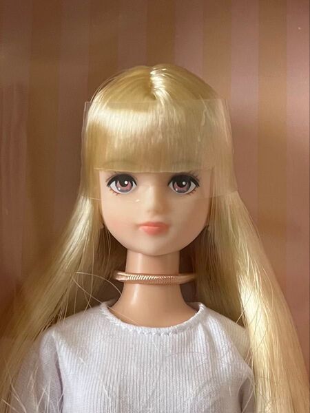 2017年日本橋BASICモデル シオンV2 リカちゃんキャッスル ジェニーフレンド