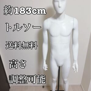 男性 全身トルソー マネキン 白 高さ調整可能 ディスプレイ 店舗用品 ビジネス