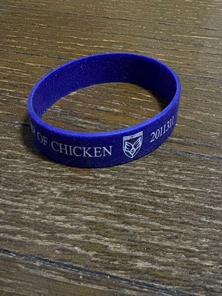 BUMP OF CHICKEN バンプオブチキン2011311ラバーバンド