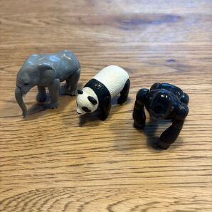 バスボール アニア