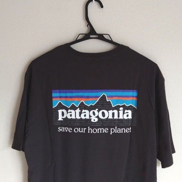 新品 タグ付き Patagonia ブラック Tシャツ BIGバックロゴ men's L 半袖 バックプリント BIGロゴ