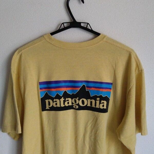 Patagonia カラシ Tシャツ バックプリント BIGロゴ men's XL Regular Fit パタゴニア 半袖